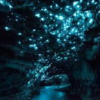 See Waitomo Caves