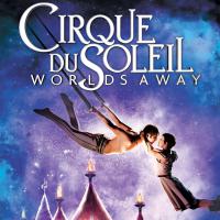 See A Cirque Du Soleil Show