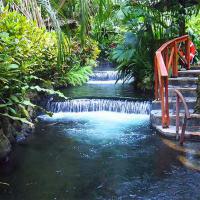 Visit Tabacon Hot Springs