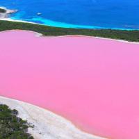 Swim In Pink Lake Hillier
