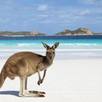 Visit Kangaroo Island