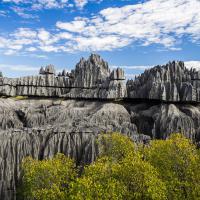 Climb Stone Forest In Madagascar