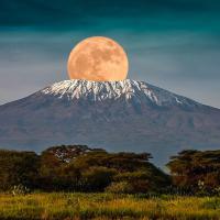 Climb Mount Kilimanjaro