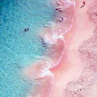 Visit Pink Sand Beach Bahamas