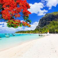 Go To Mauritius Island