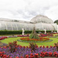 Tour Royal Botanical Gardens London
