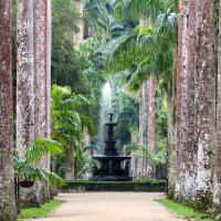 Visit Botanical Garden Of Rio De Janeiro