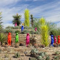 Visit The Desert Botanical Garden In Arizona