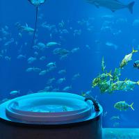 Stay In Underwater Suite At Atlantis The Palm In Dubai