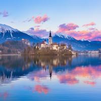 Swim In Lake Bled