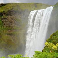 See The Seljalandsfoss Waterfall