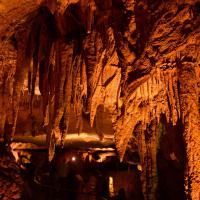 Go Into Mammoth Cave
