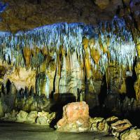 Visit Florida Caverns State Park