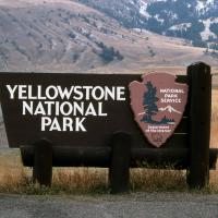 Visit Yellowstone Np