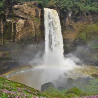 See The Ekom Waterfall