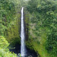 Explore Akaka Falls State Park