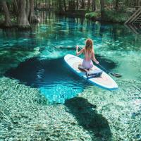 Swim In Ginnie Springs