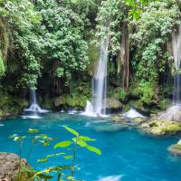 See The Waterfalls Of Tamasopo